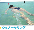 シュノーケリング