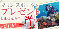 ダイビングをプレゼントしませんか?