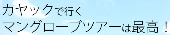 カヤックでいくマングローブツアーは最高!