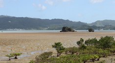 人気急上昇の古宇利島・屋我地島・奥武島をドライブ！