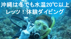 沖縄体験ダイビング