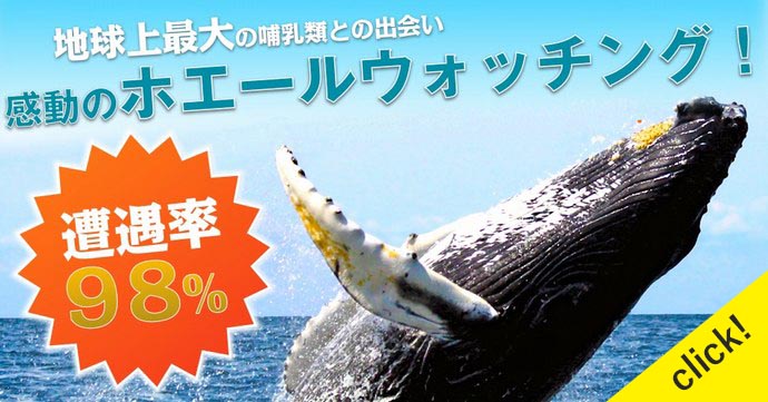 家族でカップルでマリンスポーツ。割引や特典付きメニューを簡単に予約。