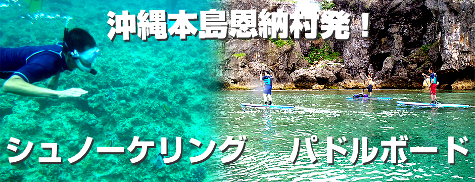 パドルボード