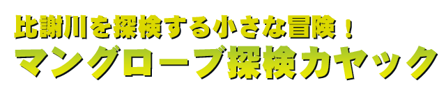 比謝川を探検する小さな冒険！｜マングローブ探検カヤック