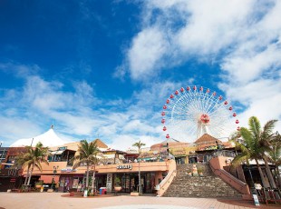 Churasima One day Sightseeing bus tour