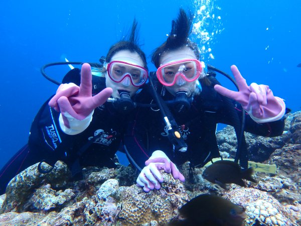 青の洞窟体験ダイビング　水中写真、写真、動画のデータ無料プレゼント